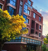 Stake(�й���)�ٷ���վ