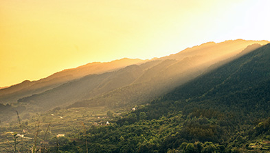 Stake(�й���)�ٷ���վ