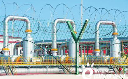 Stake(�й���)�ٷ���վ