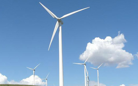 Stake(�й���)�ٷ���վ