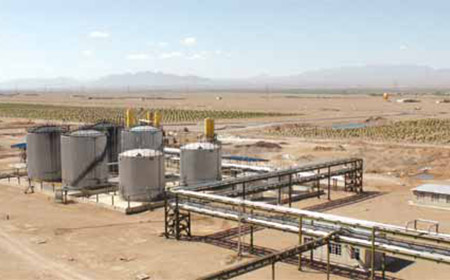 Stake(�й���)�ٷ���վ