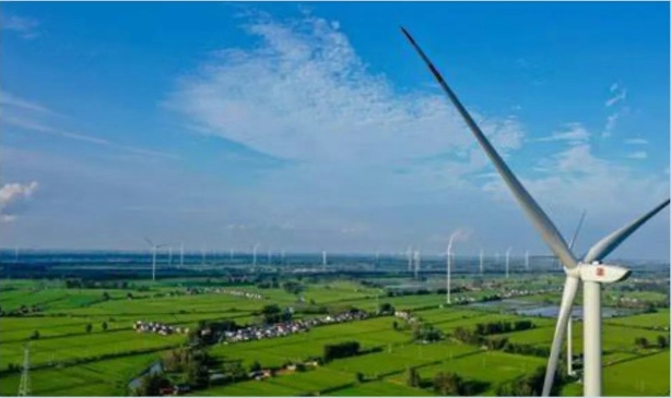 Stake(�й���)�ٷ���վ